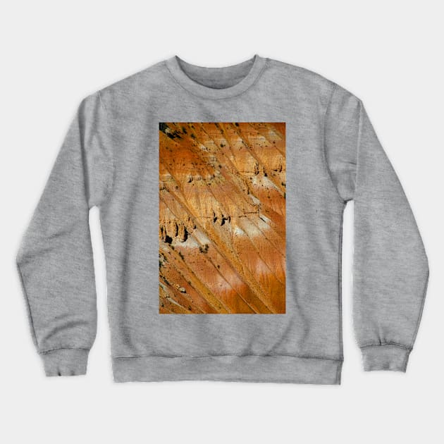 Red Rock Orange Slope, Bryce Canyon National Park Crewneck Sweatshirt by BrianPShaw